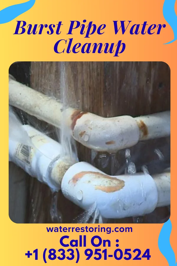 Burst Pipe Water Cleanup in Louisa, VA