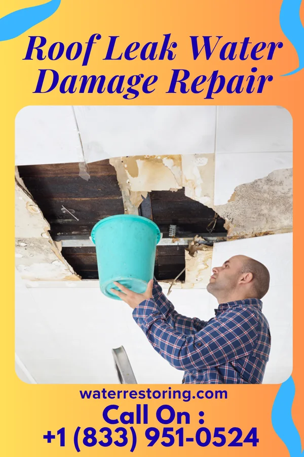 Roof Leak Water Damage Repair in Louisa, VA