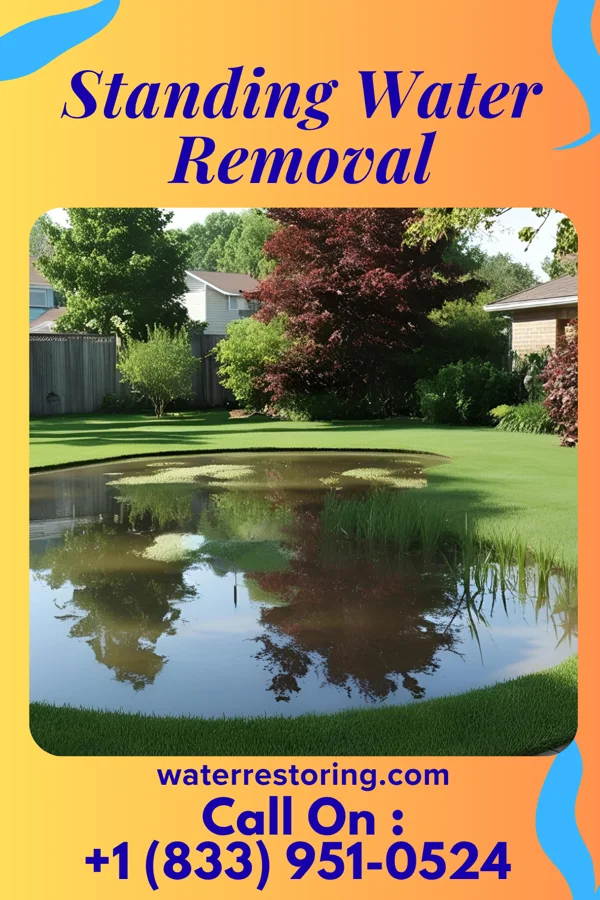 Standing Water Removal in Louisa, VA
